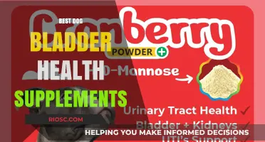 Top Dog Bladder Health Supplements for Optimal Urinary Wellness