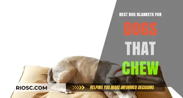 Durable and Cozy: Top Dog Blankets for Chewers That Last