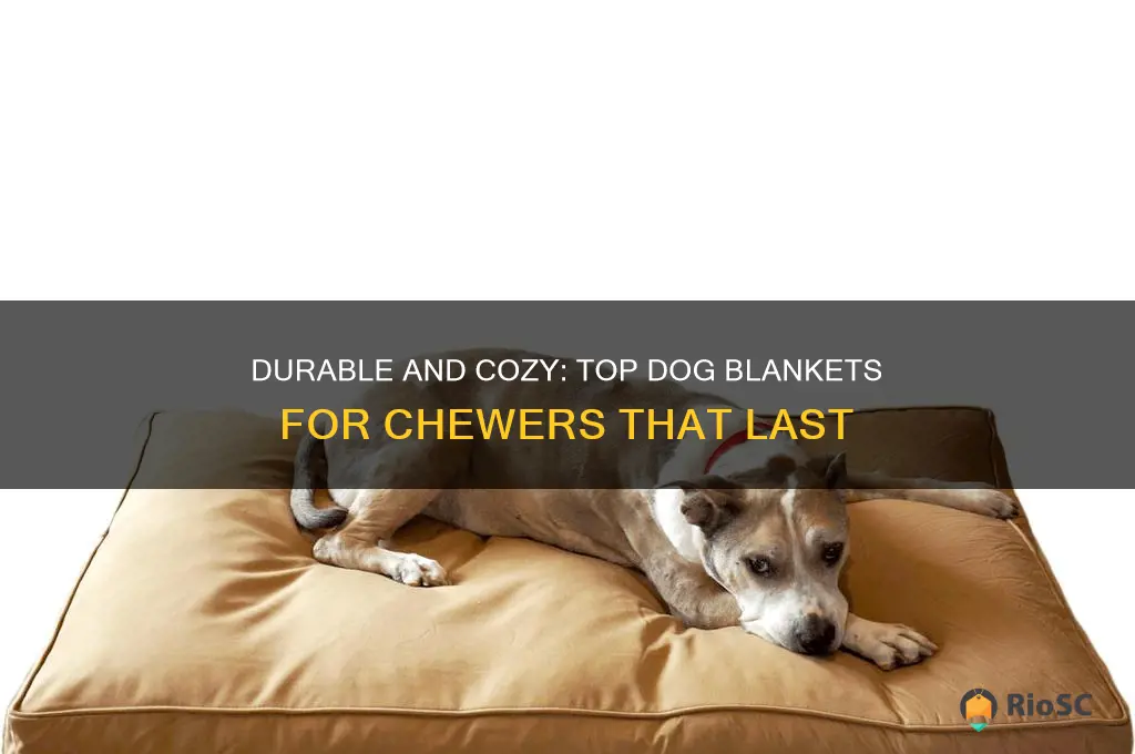 best dog blankets for dogs that chew
