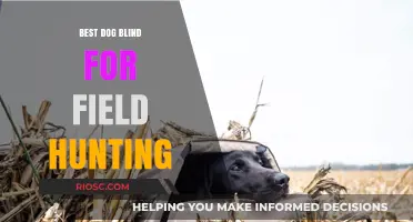 Top Dog Blinds for Field Hunting: Enhance Your Hunting Experience with These Expert Picks