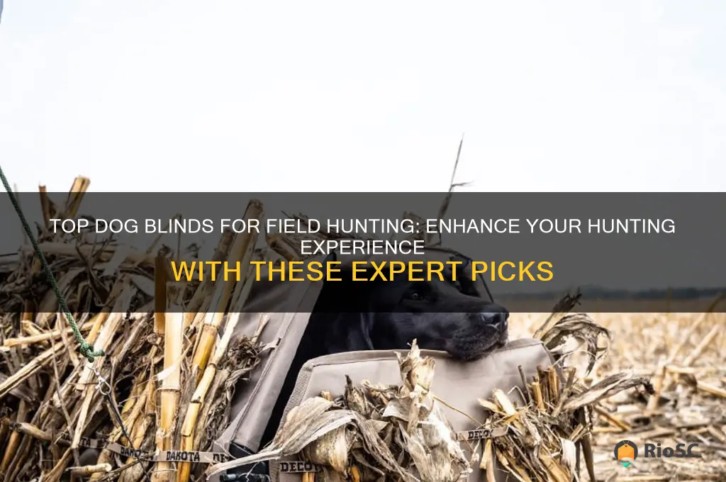 best dog blind for field hunting