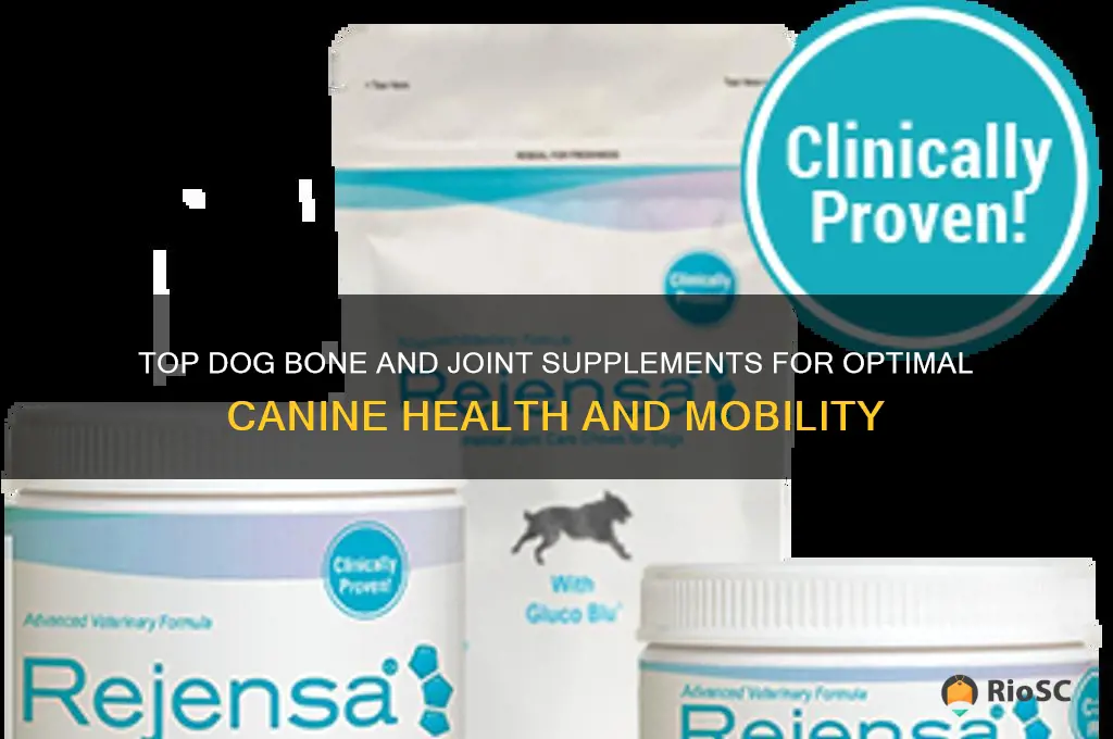 best dog bone and join supplements