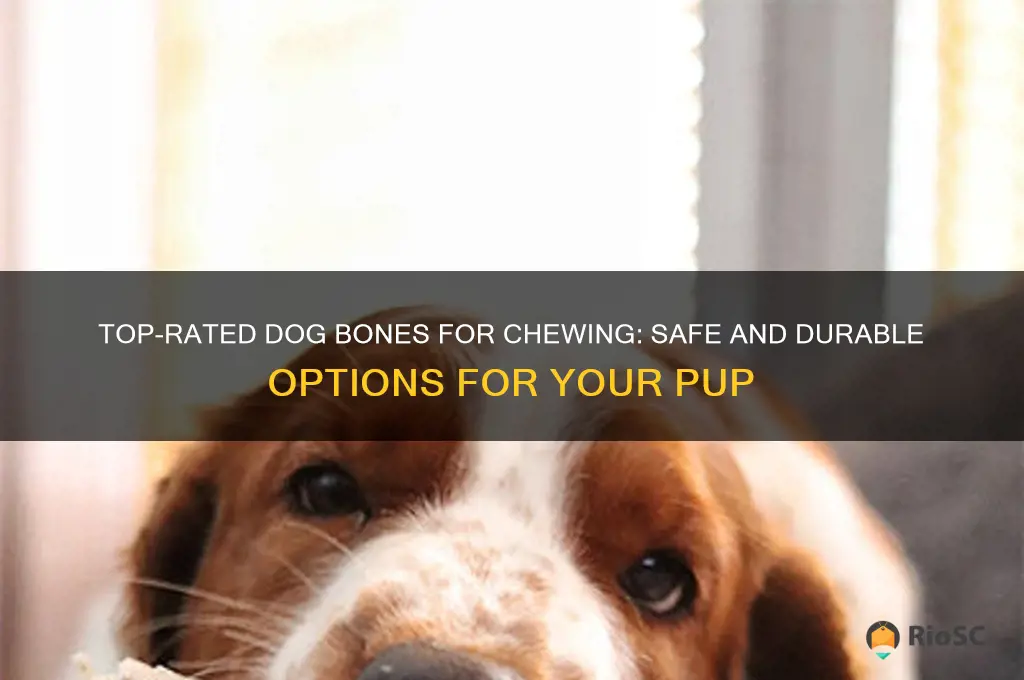 best dog bones for chewing