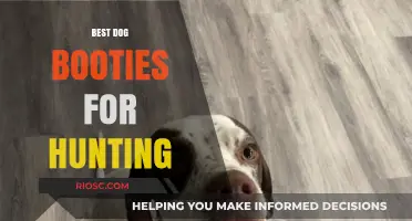 Top-Rated Dog Booties for Hunting: Protect Your Canine Companion's Paws in the Field