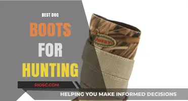Top-Rated Hunting Dog Boots: Protect Your Canine Companion in the Field