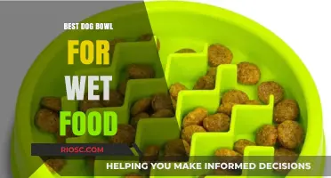 Top Picks for Your Pup: The Best Dog Bowls for Wet Food