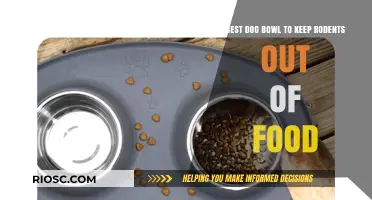 Rodent-Proof Your Pet's Meals: The Ultimate Guide to Dog Bowls That Keep Critters Away