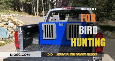 Top-Rated Dog Boxes for Bird Hunting: Safety, Durability, and Comfort for Your Canine Companion