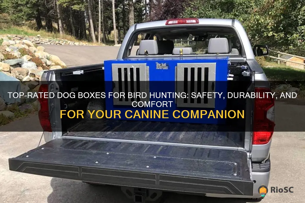 best dog box for bird hunting