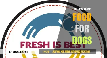 Top-Rated Dog Food Brands: A Comprehensive Guide for Pet Owners