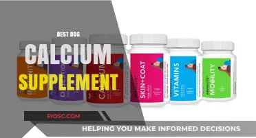 Top Dog Calcium Supplements for Strong Bones and Optimal Health