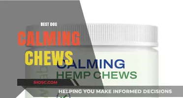 Top Dog Calming Chews: Natural Solutions for Anxious Pups