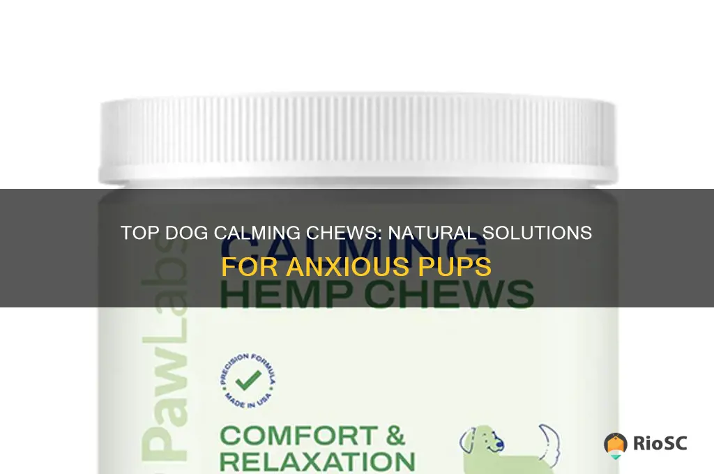 best dog calming chews