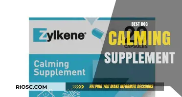 Top Dog Calming Supplements: Natural Remedies to Soothe Anxious Pups