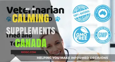 Top Dog Calming Supplements in Canada: Natural Solutions for Anxious Pets