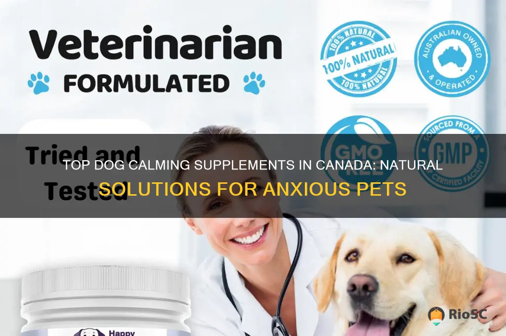 best dog calming supplements canada