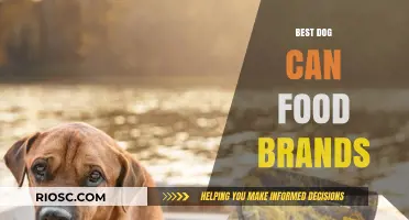 Top-Rated Dog Can Food Brands: A Comprehensive Guide for Pet Owners