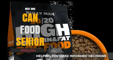 Top Picks for Senior Dogs: The Best Canned Food Options to Keep Your Aging Companion Healthy and Happy