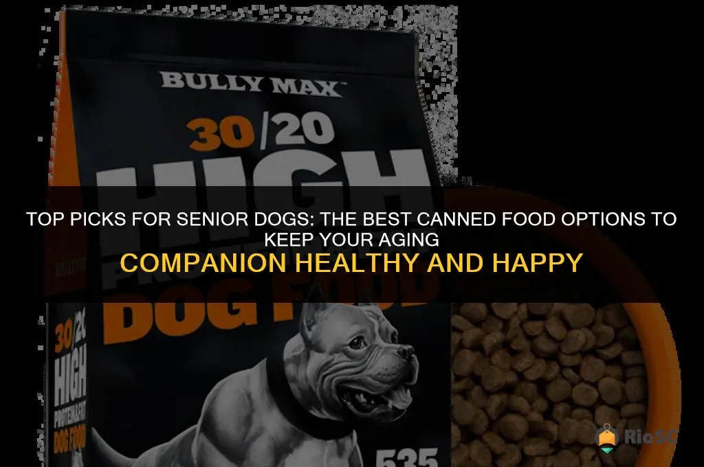 best dog can food senior