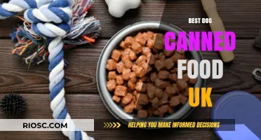 Top Picks for Your Pooch: The Best Dog Canned Food in the UK