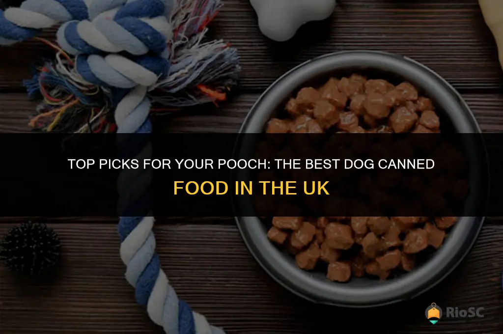 best dog canned food uk