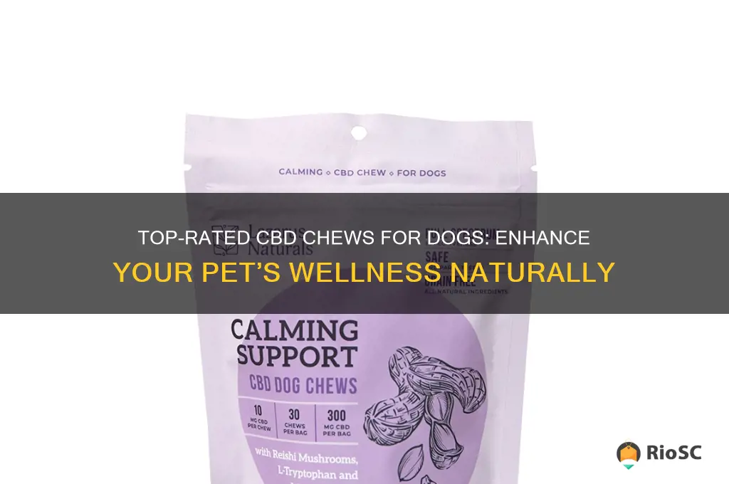 best dog cbd chews