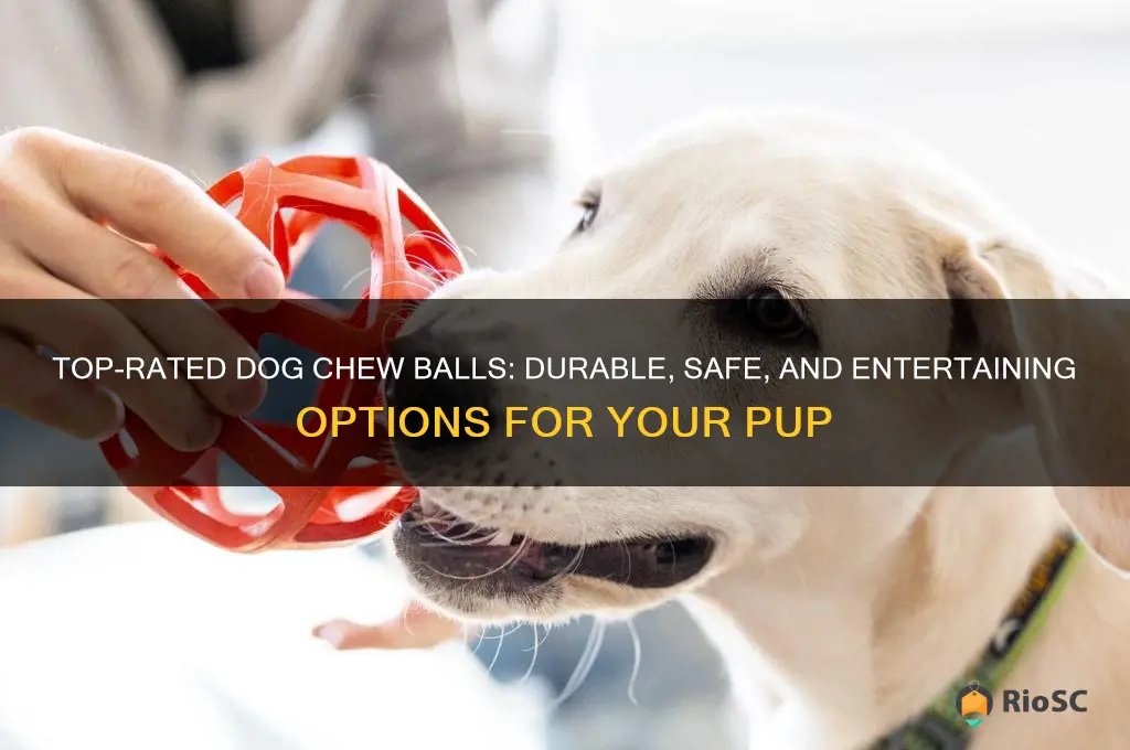 best dog chew ball