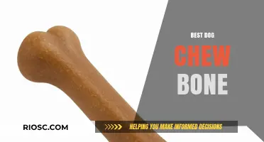 Top-Rated Dog Chew Bones: Durable, Safe, and Long-Lasting Options for Your Pup