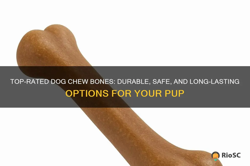 best dog chew bone