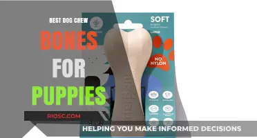 Safe and Durable Chew Bones for Puppies: Top Picks for Healthy Teething and Dental Care