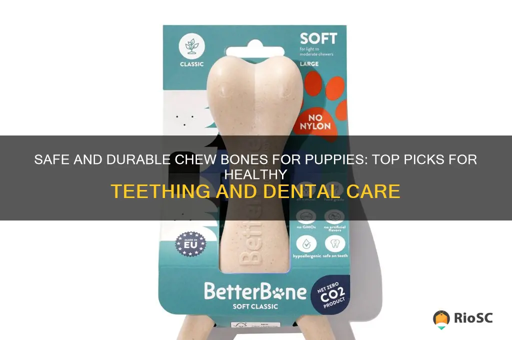 best dog chew bones for puppies