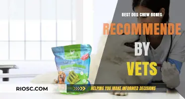 Vet-Approved Dog Chew Bones: Top Picks for Healthy and Safe Chewing