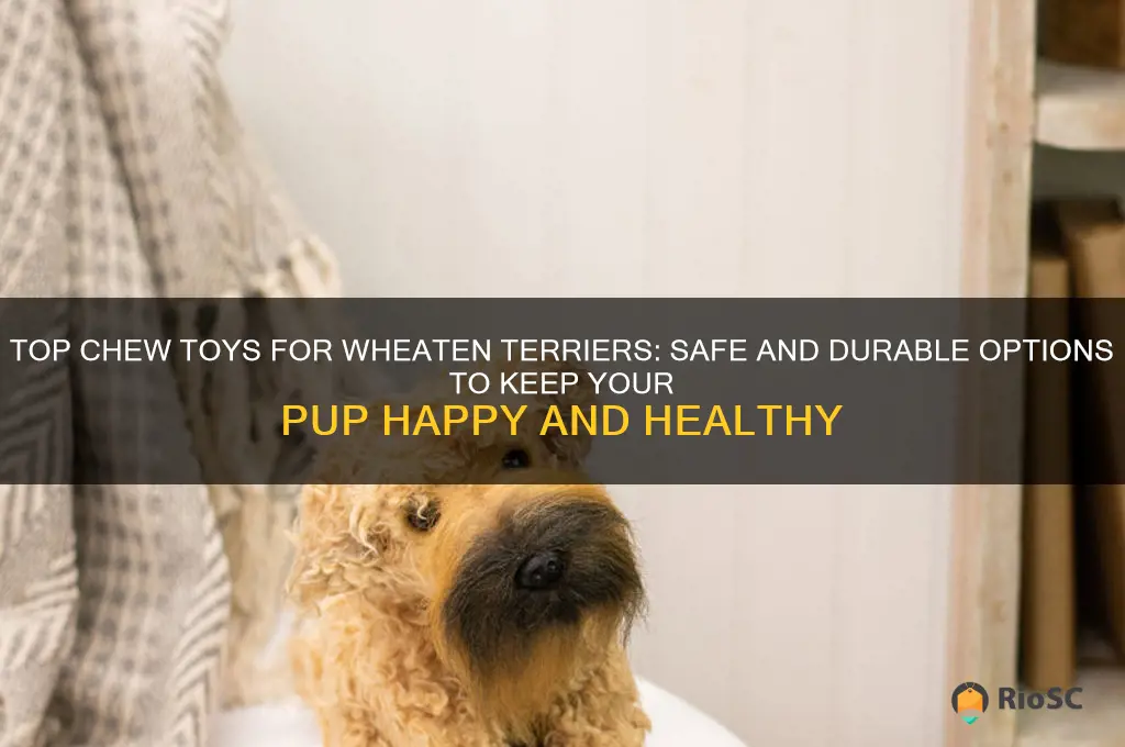 best dog chew for a wheaten terrier