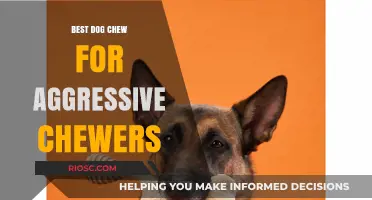 Toughest Dog Chews for Aggressive Chewers: Durable Options to Keep Your Pup Busy and Safe