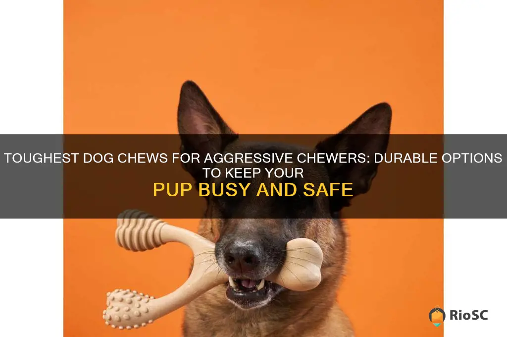 best dog chew for aggressive chewers