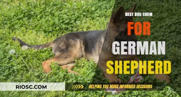 Top-Rated Dog Chews for German Shepherds: Durable, Safe, and Healthy Options