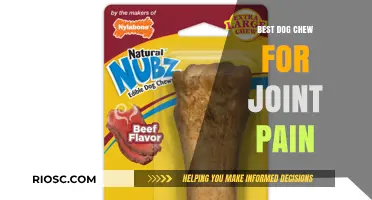 Natural Dog Chews to Relieve Joint Pain: Top Picks for Canine Comfort