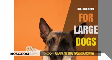 Top-Rated Durable Dog Chews for Large Breeds: Keep Your Big Dog Happy and Healthy
