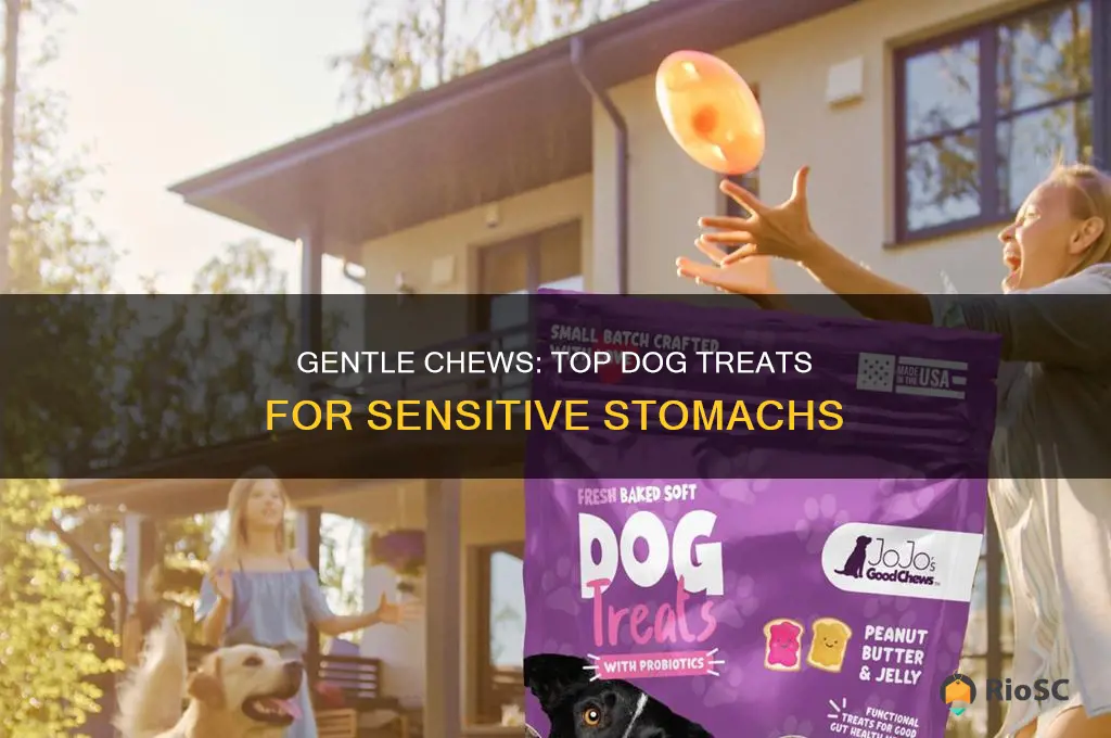 best dog chew for sensitive stomach