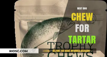 Top Tartar-Fighting Dog Chews: Keep Your Pup's Teeth Clean and Healthy