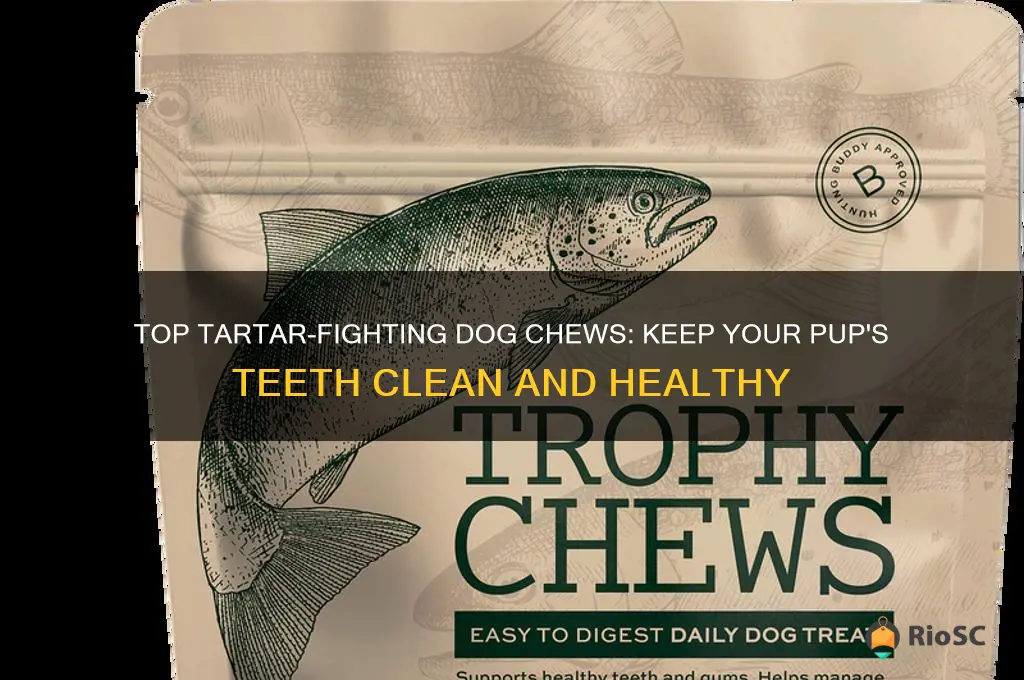 best dog chew for tartar