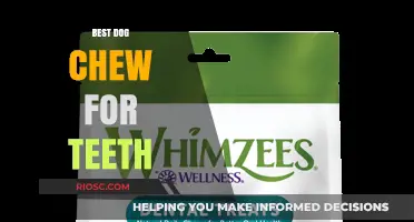 Top Dental Dog Chews: Keep Your Pup's Teeth Healthy and Strong
