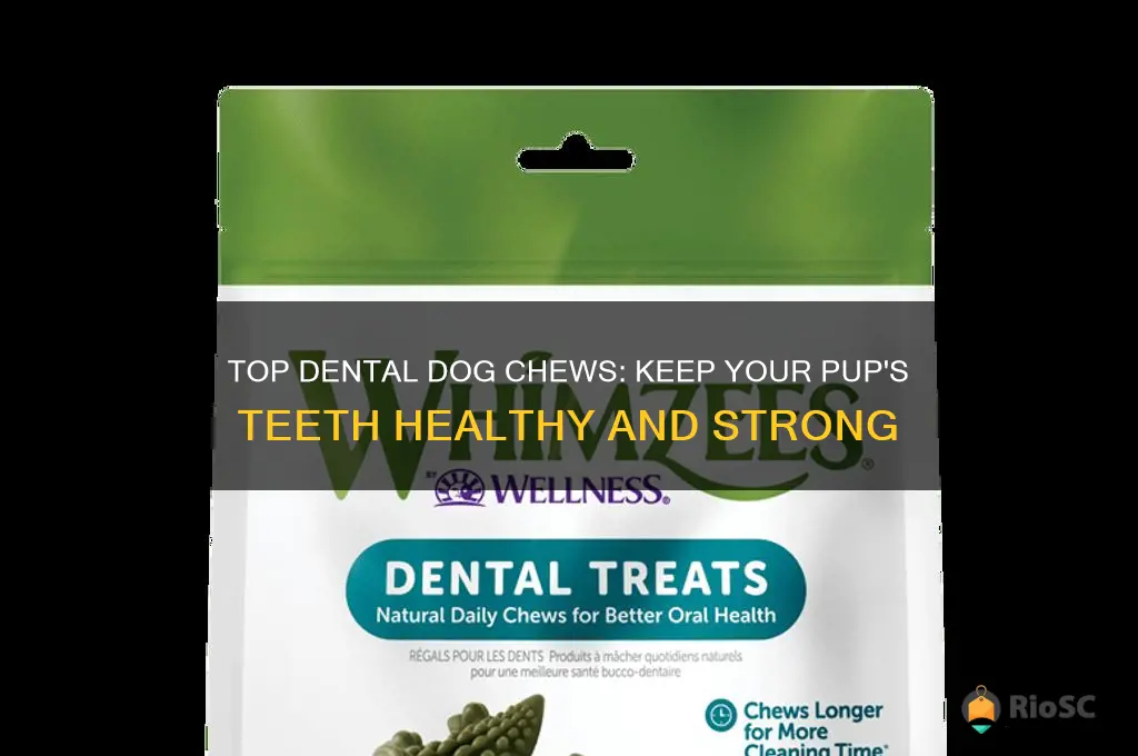 best dog chew for teeth