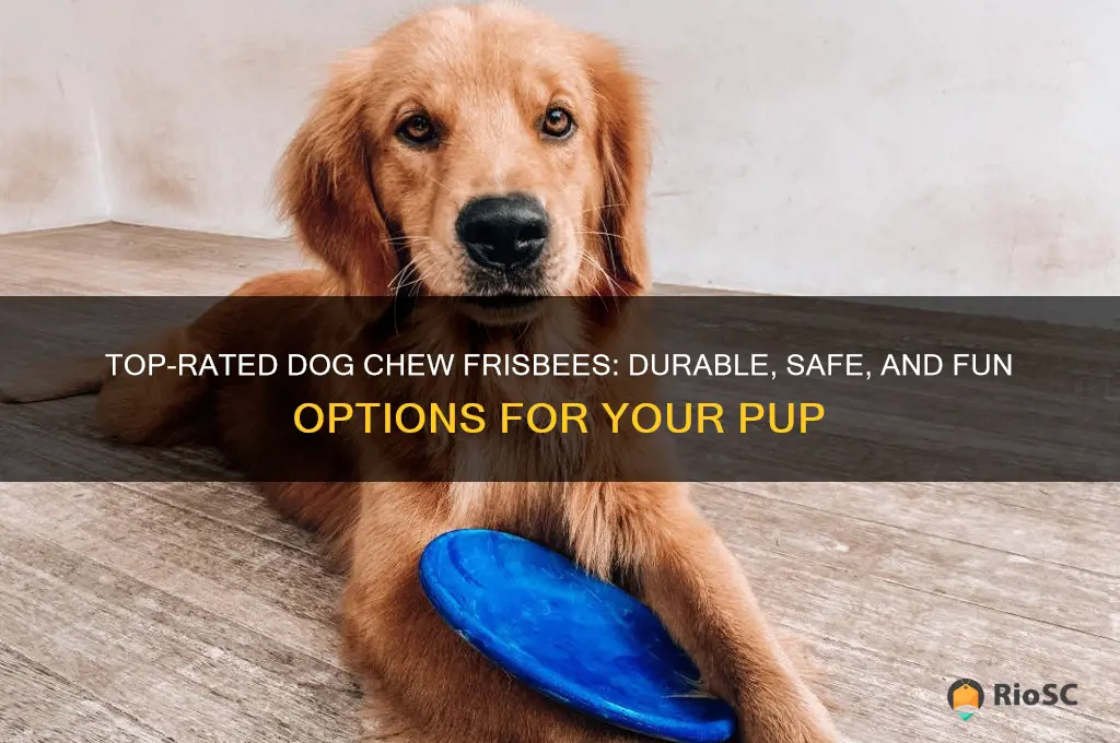 best dog chew frisbee