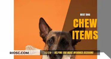 Top-Rated Dog Chew Items: Durable, Safe, and Entertaining Options for Your Furry Friend