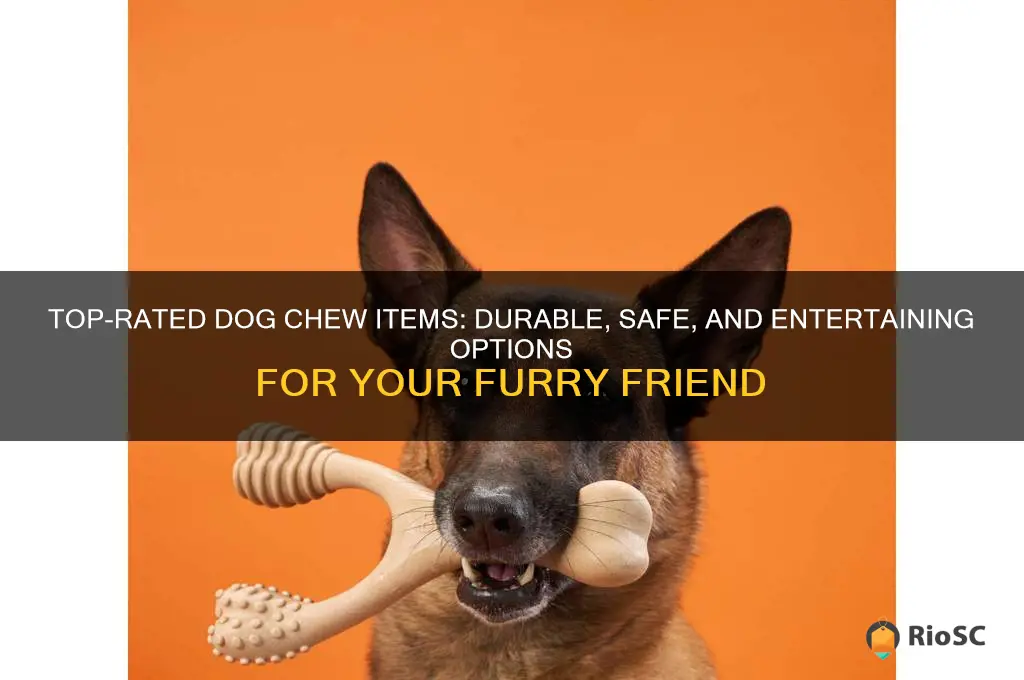 best dog chew items