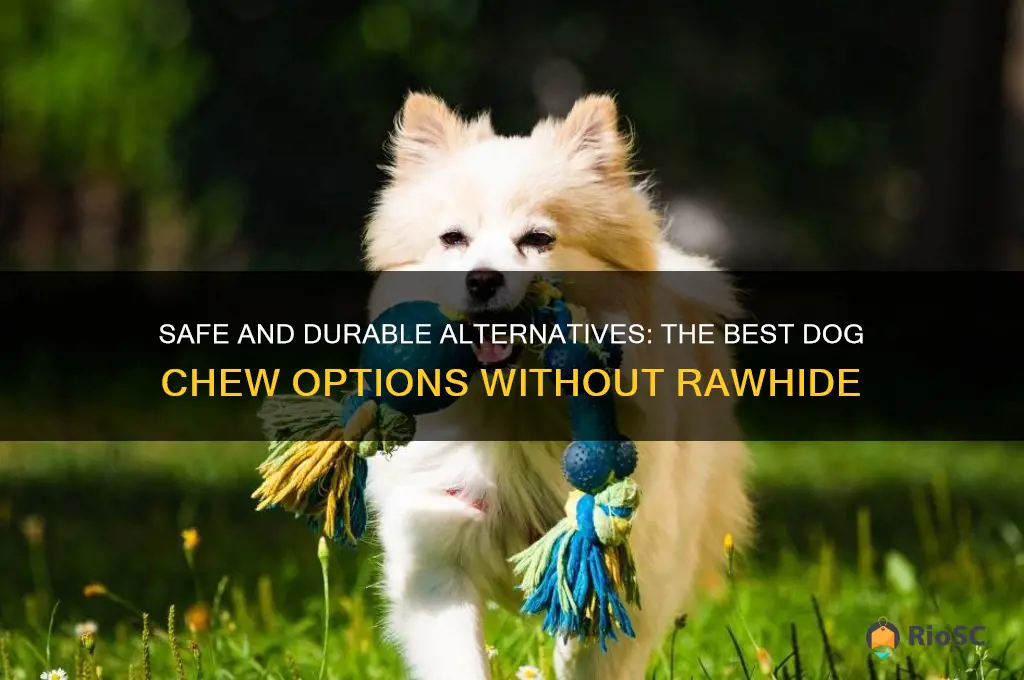 best dog chew no rowhide
