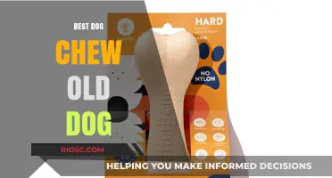 Top Chew Toys for Senior Dogs: Keeping Your Old Pup Happy and Healthy