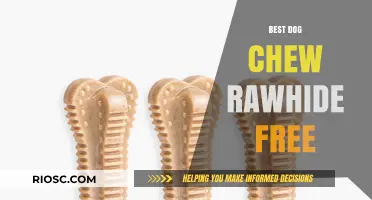 Safe and Durable: Top Rawhide-Free Dog Chew Alternatives for Healthy Teeth and Happy Pups