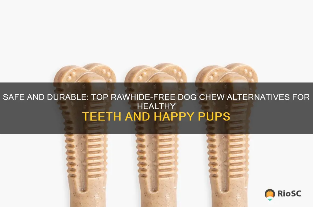 best dog chew rawhide free
